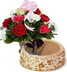 send Eggless Butterscotch Cake Half Kg n Carnations Basket delivery