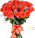 send 20 Orange Roses  delivery