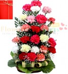 send 24 Mix Color Carnations in Basket delivery