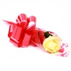 send Yellow Roses delivery
