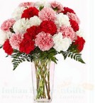send Carnations Flower Vase delivery