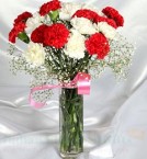 send Mix Carnations Flower delivery