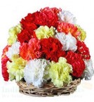 send 20 Carnations Flower arrangements delivery