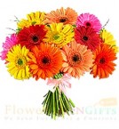 send 12 Gerberas Bouquet delivery
