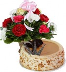 send Butterscotch Cake Half Kg N Carnations Basket delivery