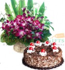 send 1kg black forest Cake Orchid flower basket delivery