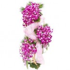 send  Ravishing Orchids delivery