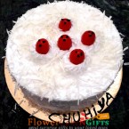 send half kg white forest cake delivery