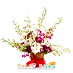 send 8 orchid flower basket delivery