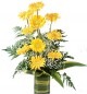 Yellow Gerbera Vase