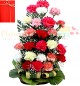 24 Mix Color Carnations in Basket