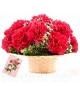 10 Red Carnation Flower Basket