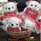4 teddy bear basket