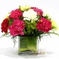 10 mix carnations vase