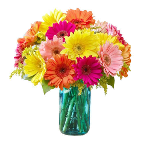 send Gerberas Flower in Vase delivery