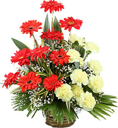 send Yellow Carnation Red Gerbera Bouquet delivery