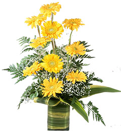 send Yellow Gerbera Vase delivery