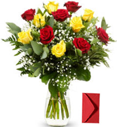 send 12 Red Yellow Roses  delivery