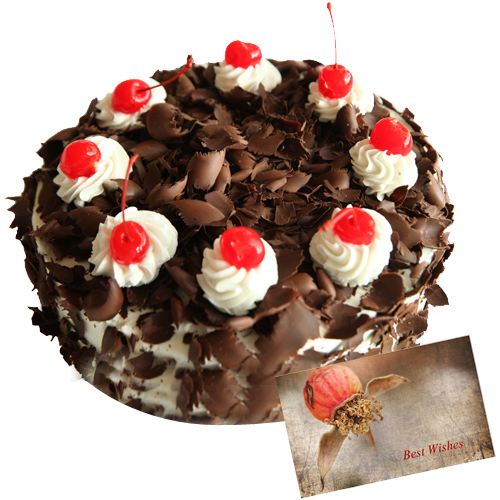 send 500gms Black Forest Cake n Card delivery