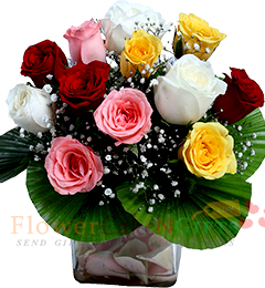 send 12 Mix roses in vase arrangement delivery
