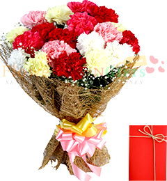 send Bouquet of 15 mix carnations delivery