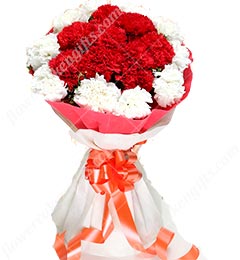 send 15 Mix carnation flower Bouquet  delivery