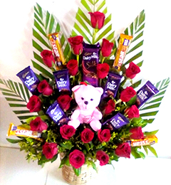 send Best Teddy  Roses n Cadbury dairy milk Chocolate Bouquet delivery