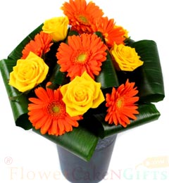 send Roses n Gerbera Flower delivery