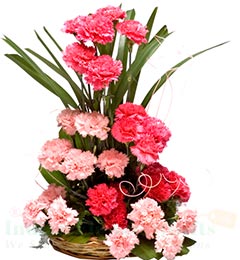 send Mix Carnations Bouquet delivery