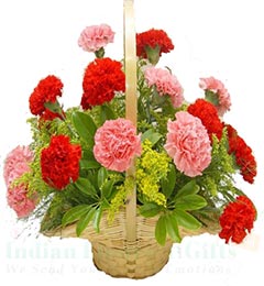 send Carnations Flower Basket delivery