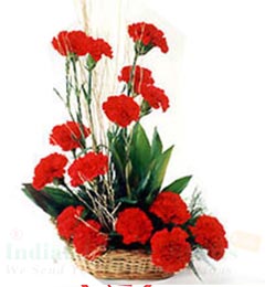 send Red Carnations Flower bouquet delivery