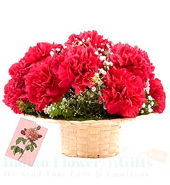 send 10 Red Carnation Flower Basket delivery
