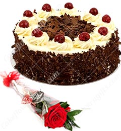 send 1 Red Roses Flower n Black Forest Cake Half Kg delivery