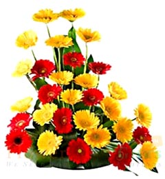 send Red Yellow Gerberas Bouquet delivery