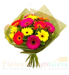 send 10 Gerberas Bouquet delivery