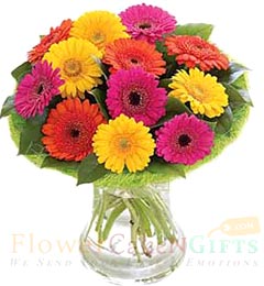 send 12 Gerberas Flower vase delivery