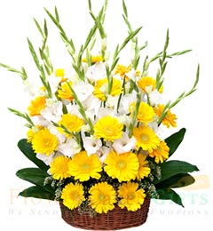send Gerberas Flower basket delivery