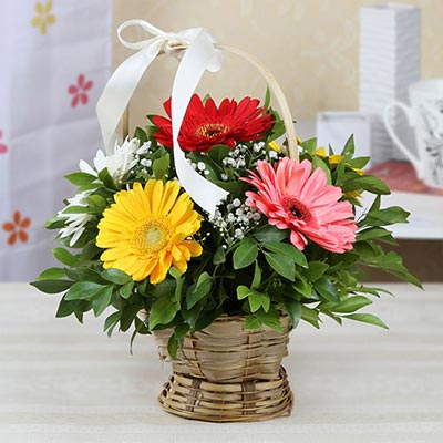 send Bunch of 8 Gerberas in a Round Basket delivery