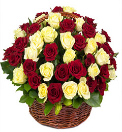 send 50 White n Red Roses delivery