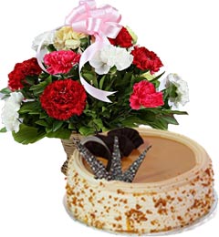 send Butterscotch Cake Half Kg N Carnations Basket delivery