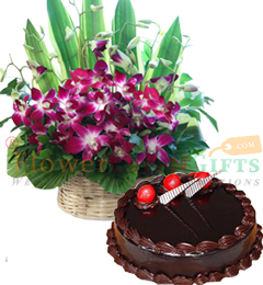 send Orchid flower basket and chocolate Truffle cake Half kg delivery
