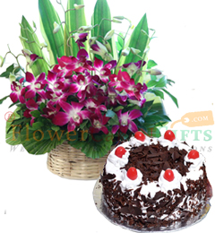 send 10 Orchid flower basket and Black Forest  cake Half kg delivery