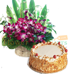 send Orchid flower basket and butterscotch cake Half kg delivery