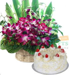send Half kg white forest Cake Orchid flower basket delivery