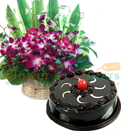 send 1kg chocolate truffle cake Orchid flower basket delivery
