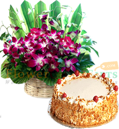 send 1kg butterscotch cake and Orchid flower basket delivery