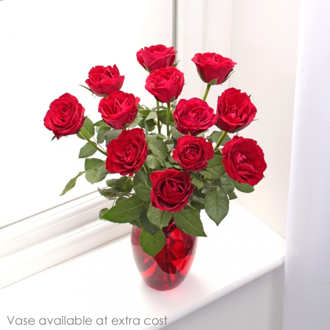 12 red roses in a vase