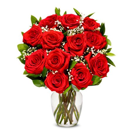 send 12 red roses in a vase delivery