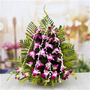 send  Designer Orchids Flower Basket delivery