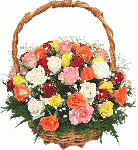 send 45 mix roses basket delivery